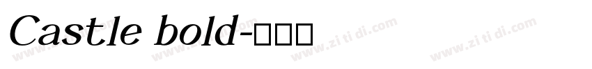 Castle bold字体转换